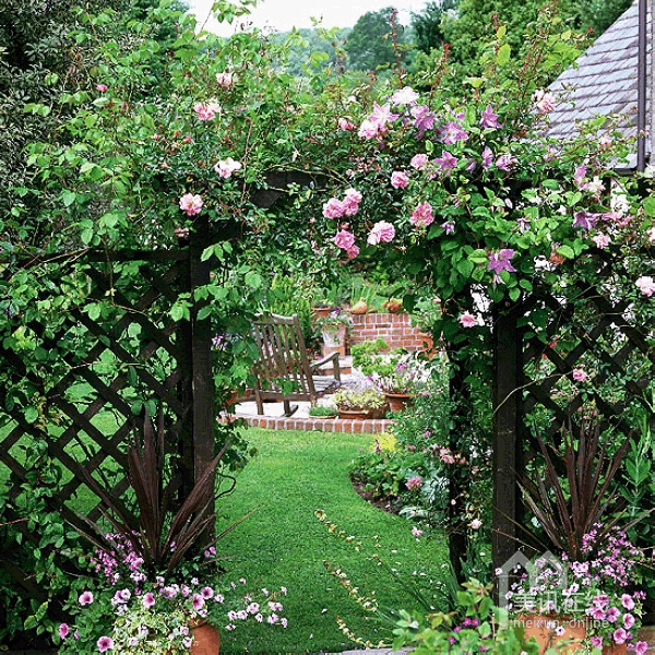 爬满蔷薇藤的乡村花园