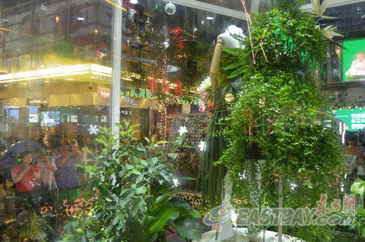 广场上的玻璃温室内两件美丽的全都是用绿色植物打造而成,造型